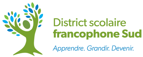 Logo DSFS